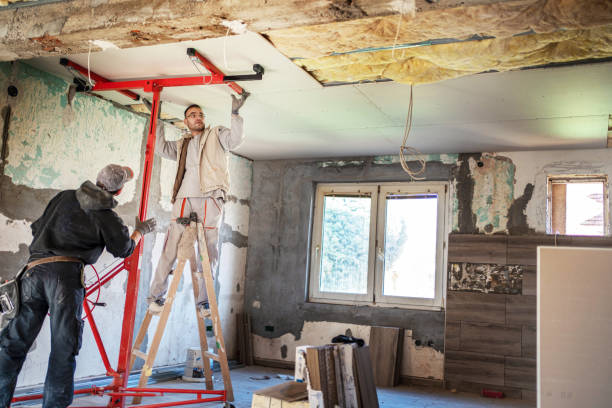 Best Insulation Maintenance and Repair in Oakdale, LA